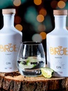 Джин Берді, Кафр / Birdie, Kaffir, 44%, 0.7л Photo 3