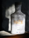 Джин Берді, Шісо / Birdie, Shiso, 44%, 0.7л Photo 2