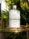 Джин Хендрікс, Еназер / Hendrick's, Another, 41.4%, 0.7л Photo 2