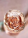 Вино Кот Де Роз, Розе / Cote Des Roses, Rose, Gerard Bertrand, рожеве сухе 0.375л Photo 3 Вино Кот Де Роз, Розе / Cote Des Roses, Rose, Gerard Bertrand, рожеве сухе 0.375л Photo 3